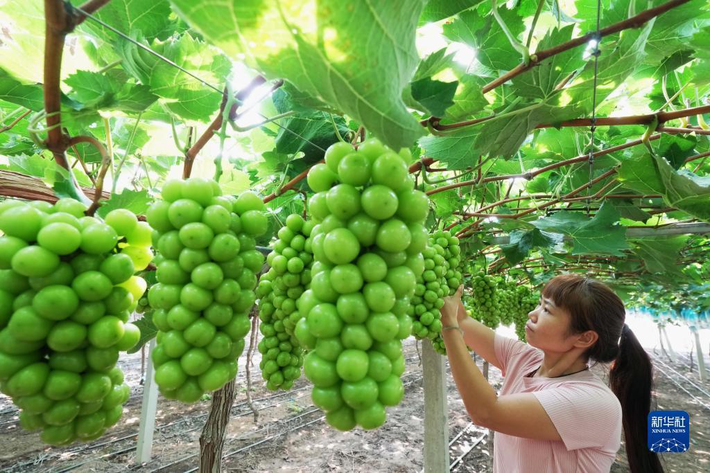 捕鱼厅娱乐官方网站